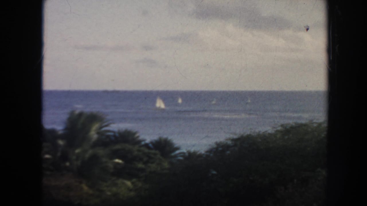 Sailboats on the ocean beyond palm fronds and dense tropical foliage.