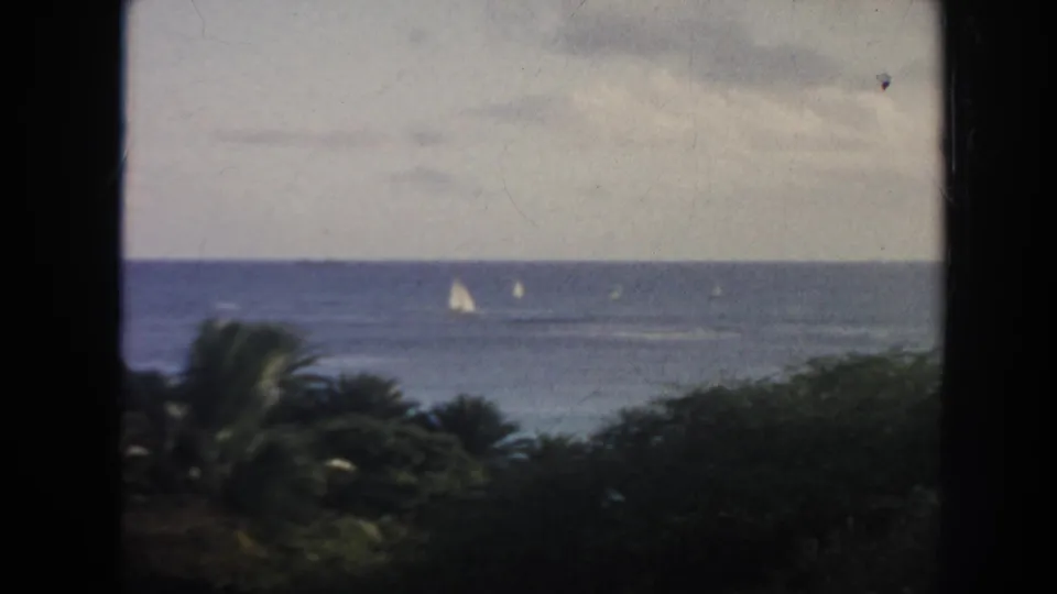 1961 Hawaii 8mm frame showing small sailboats on blue ocean water beyond palm fronds and dark foreground foliage under a cloudy sky.