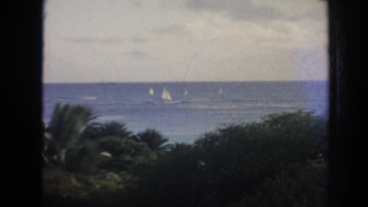 1961 Hawaii 8mm frame with multiple small sailboats scattered across the blue sea, seen past palms and low tropical greenery.