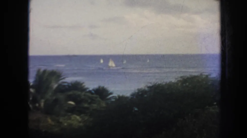 1961 Hawaii 8mm frame with multiple small sailboats scattered across the blue sea, seen past palms and low tropical greenery.