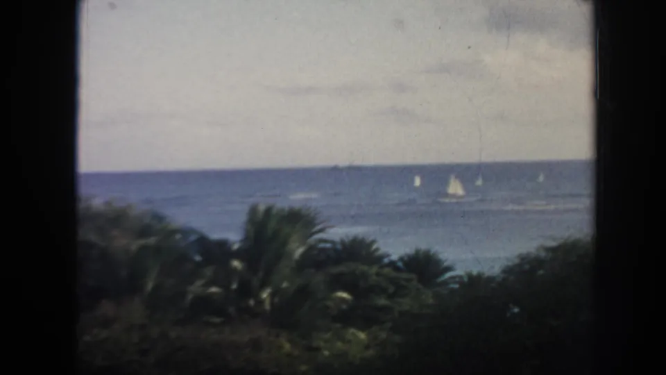 1961 Hawaii home-movie frame showing a distant ocean horizon with white sailboats and tropical foliage in the foreground.
