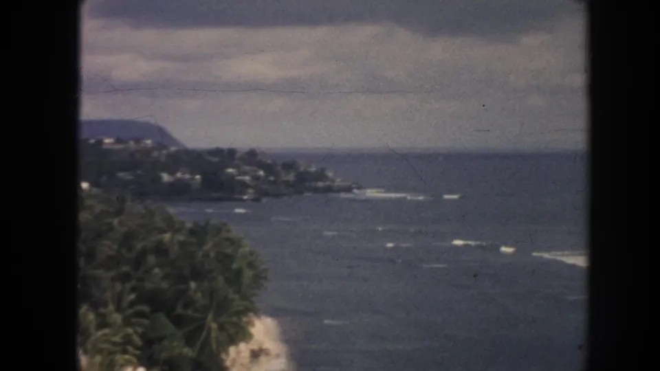 1961 Hawaii coastal landscape with palms in the foreground, distant hillside houses, surf lines, and open water.