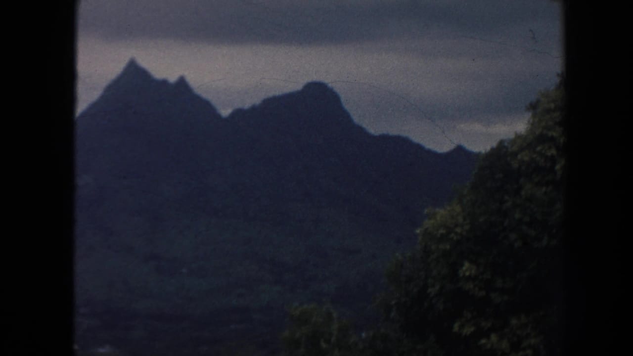 Dark mountain ridges with jungle foliage in the foreground.