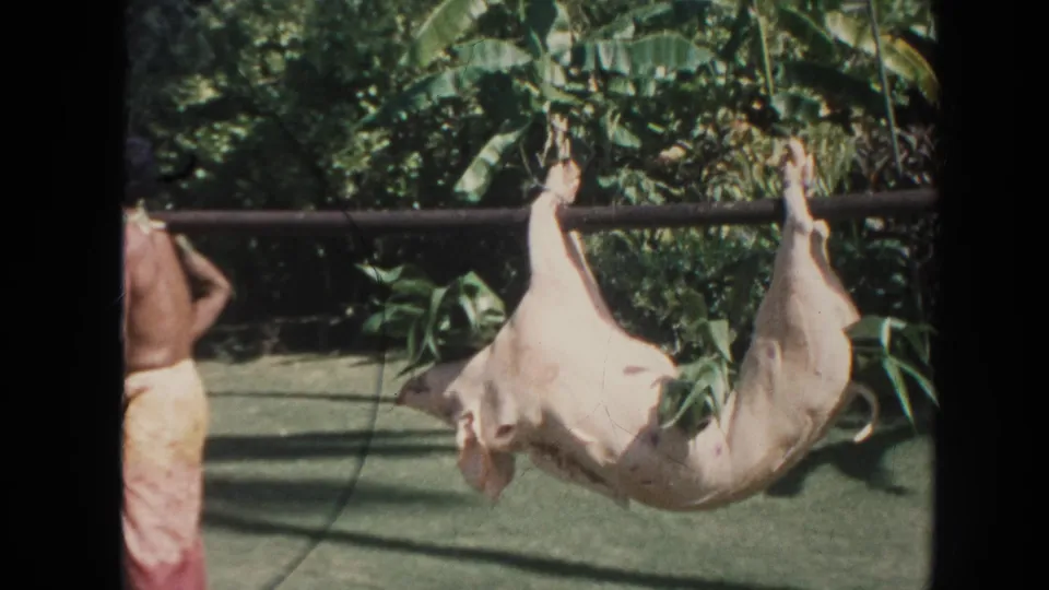 1961 Hawaii frame showing the hanging animal carcass on a pole with a shirtless participant partly visible at left.