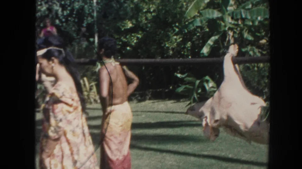 1961 Hawaii home-movie frame showing adults in patterned clothing beside a whole pig suspended from a pole in a lush yard.