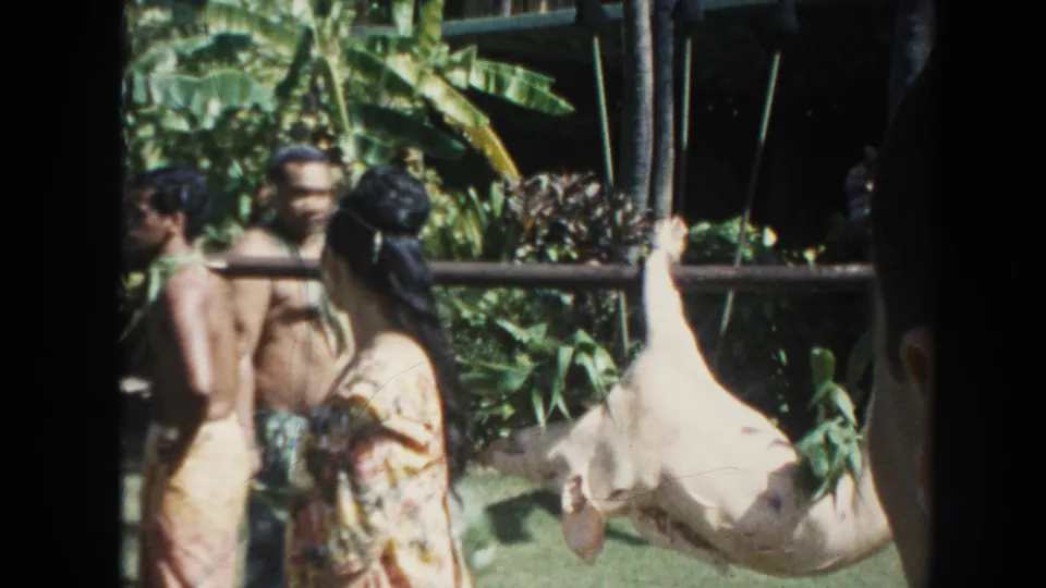 1961 Hawaii 8mm frame showing a woman from behind, men nearby, and a white hog secured to a carrying pole in a tropical lawn setting.