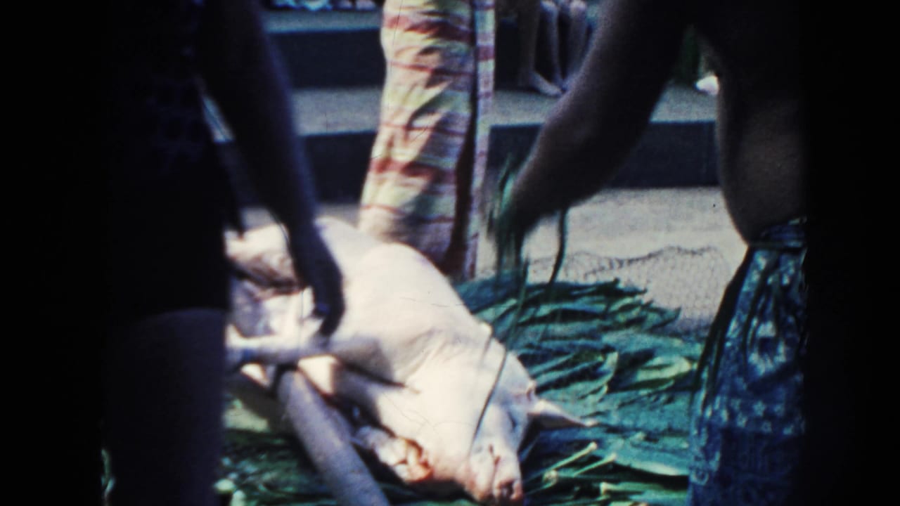 Pig on leaves beside standing participants, partly obscured by a dark foreground figure.