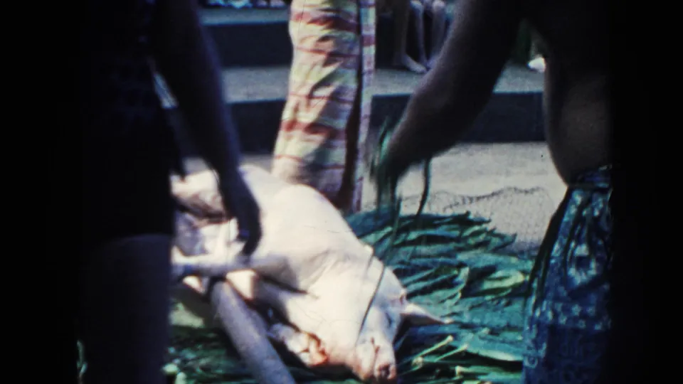 1961 Hawaii luau scene with a pig on green leaves, standing participants, and the view partly blocked by a foreground body.