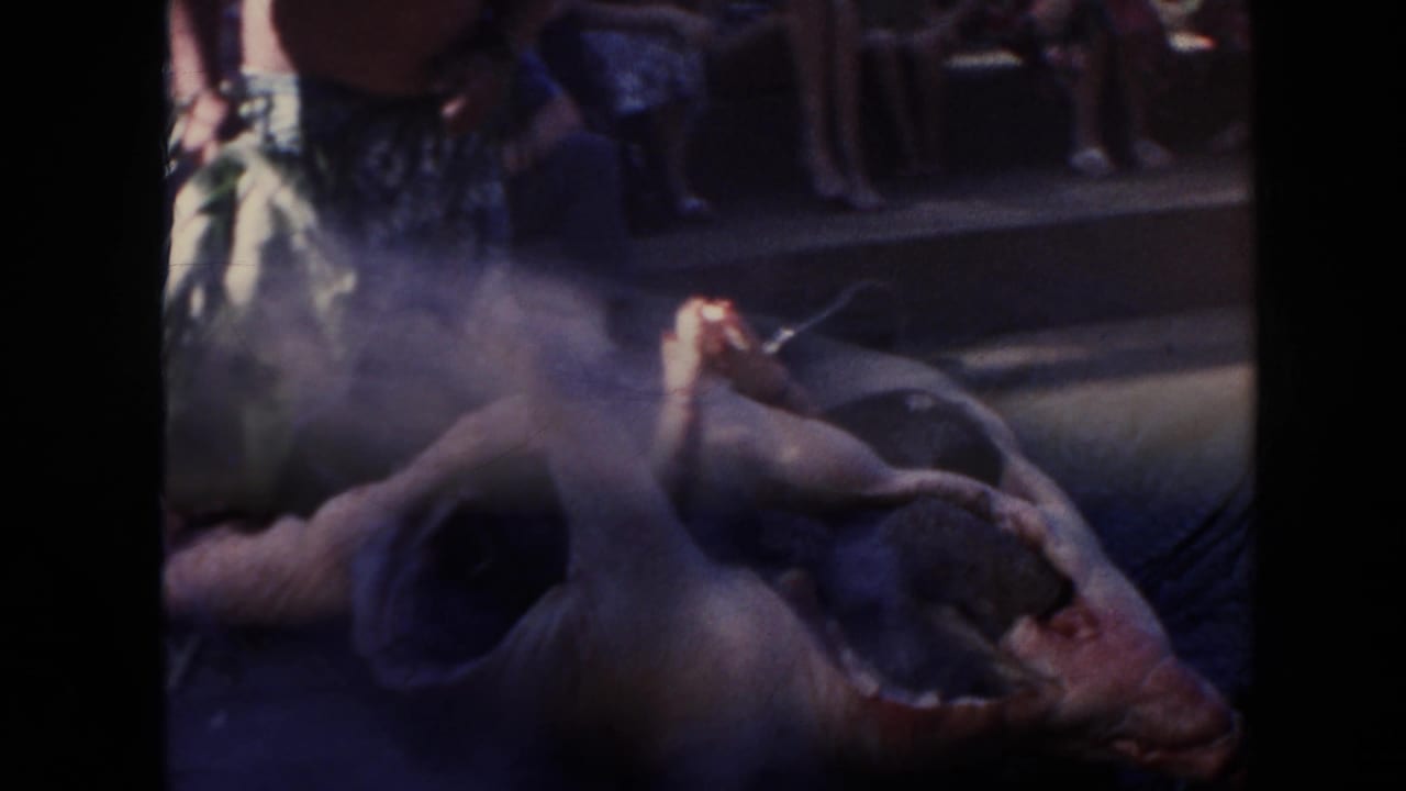 Large animal carcass on the ground with smoke and a partially visible person nearby.