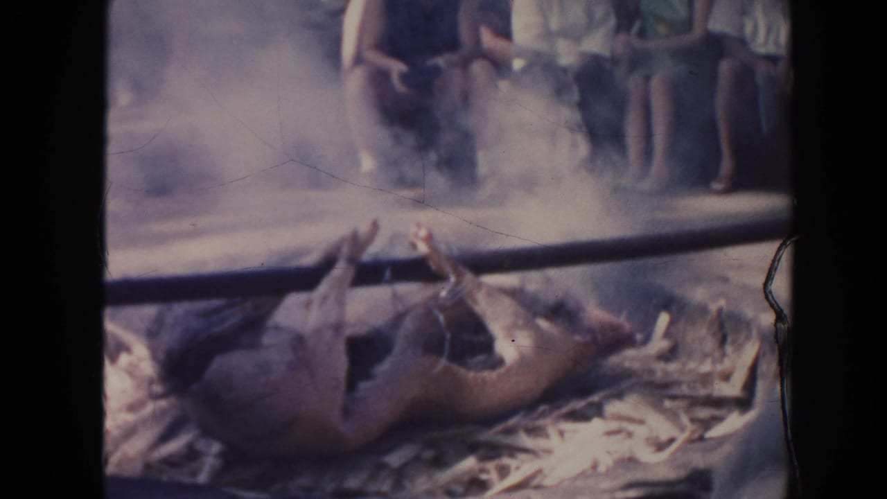 Roasted hog lying near a smoky luau pit while spectators stand and sit nearby.