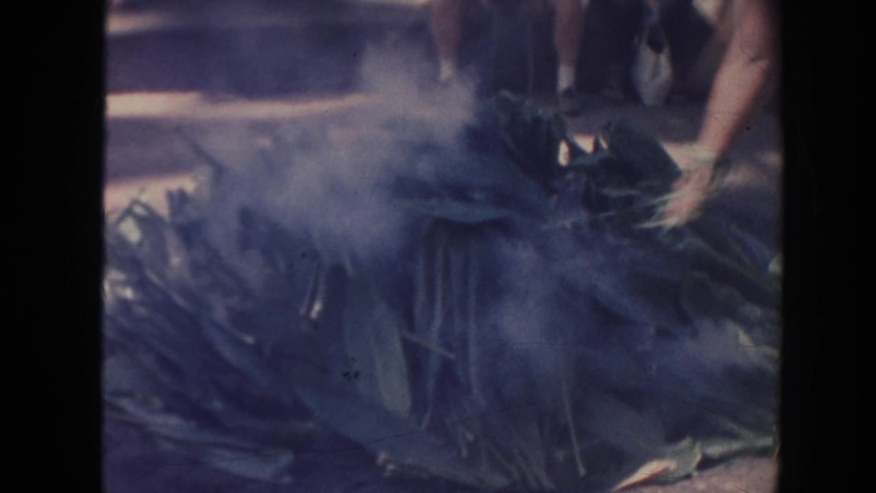 Smoke drifts over a pile of broad leaves with people visible behind it.