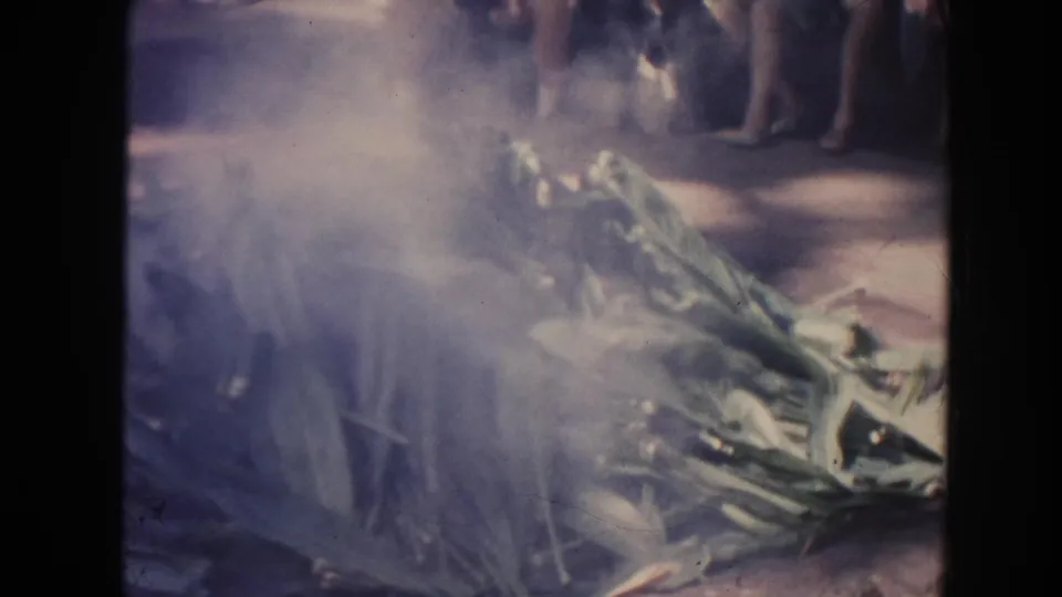 A dense cloud of smoke rises from green leaves on the ground in the 1961 Hawaii home-movie scene, with onlookers partly visible beyond it.
