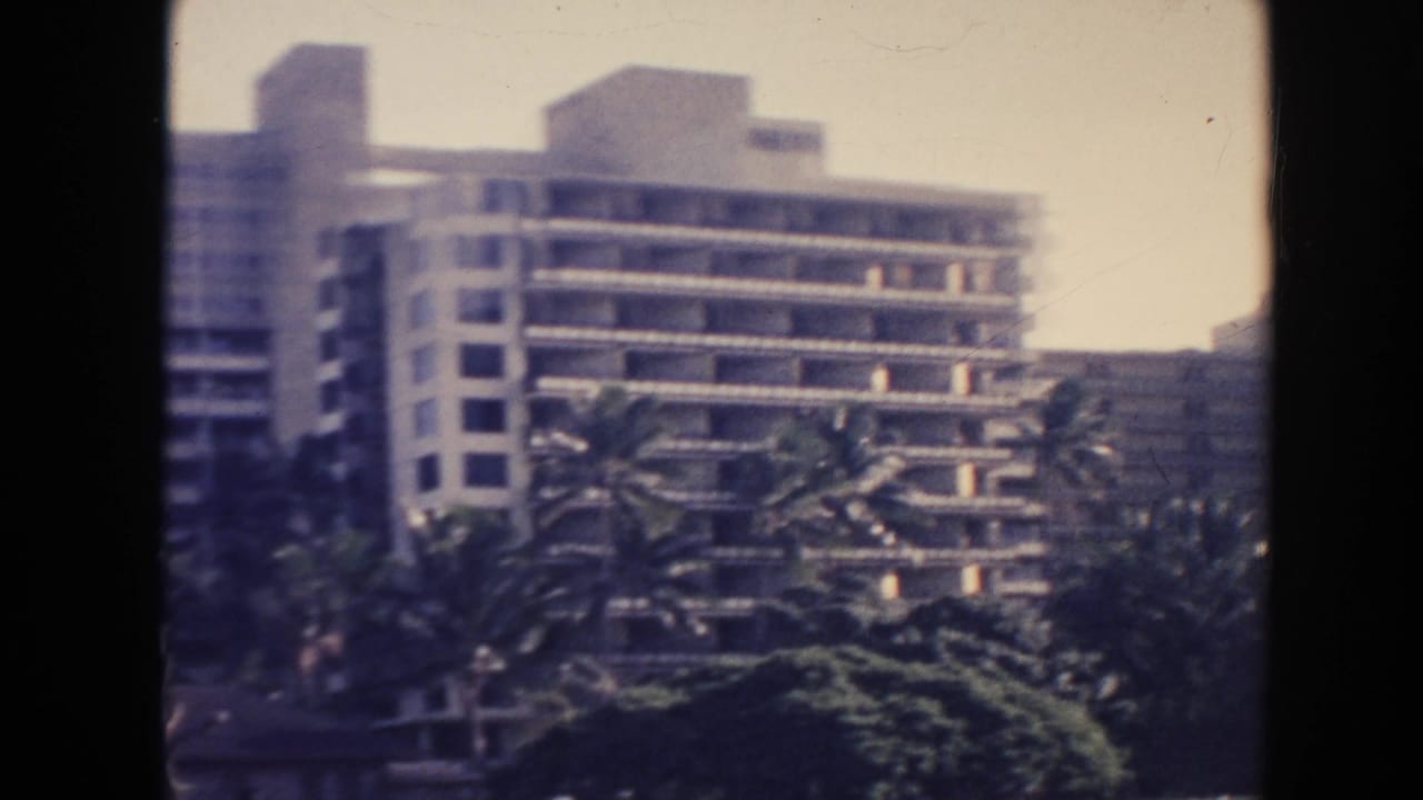 Modern high-rise buildings behind palm trees and roadside greenery.