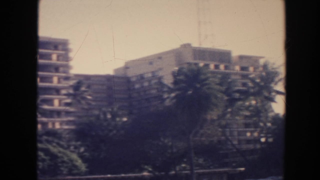 Palm trees and dense foliage in front of modern city buildings.