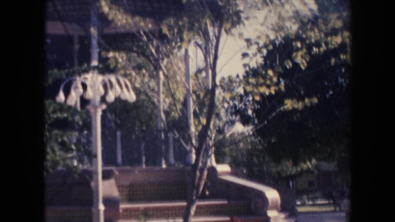 Decorative lamppost and trees near curved park steps.
