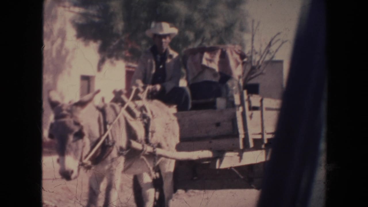 Man in a white hat riding a donkey-drawn cart along a street.
