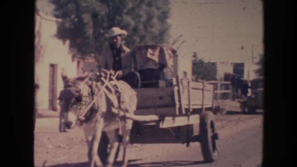 1960s home-movie frame showing the front of a donkey-drawn cart with rider, buildings, trees, and street details behind.