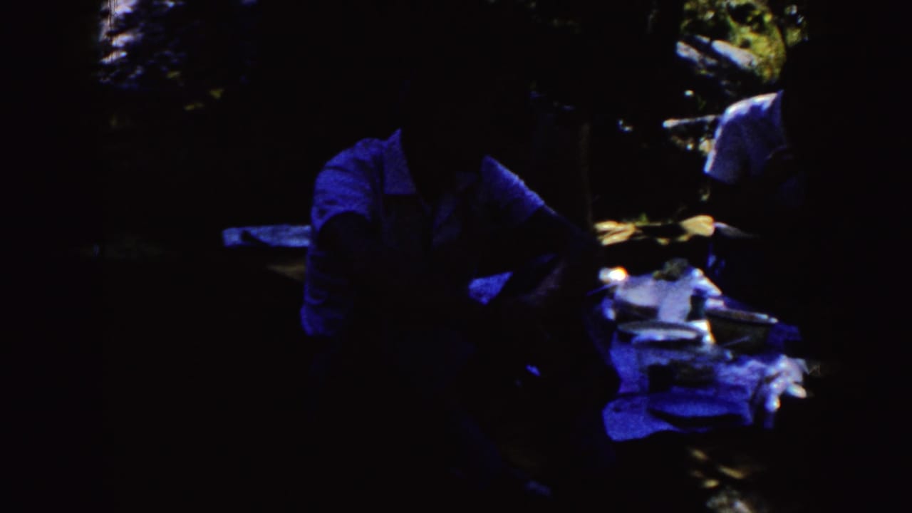 Dark shaded picnic scene with seated people and a table under trees.
