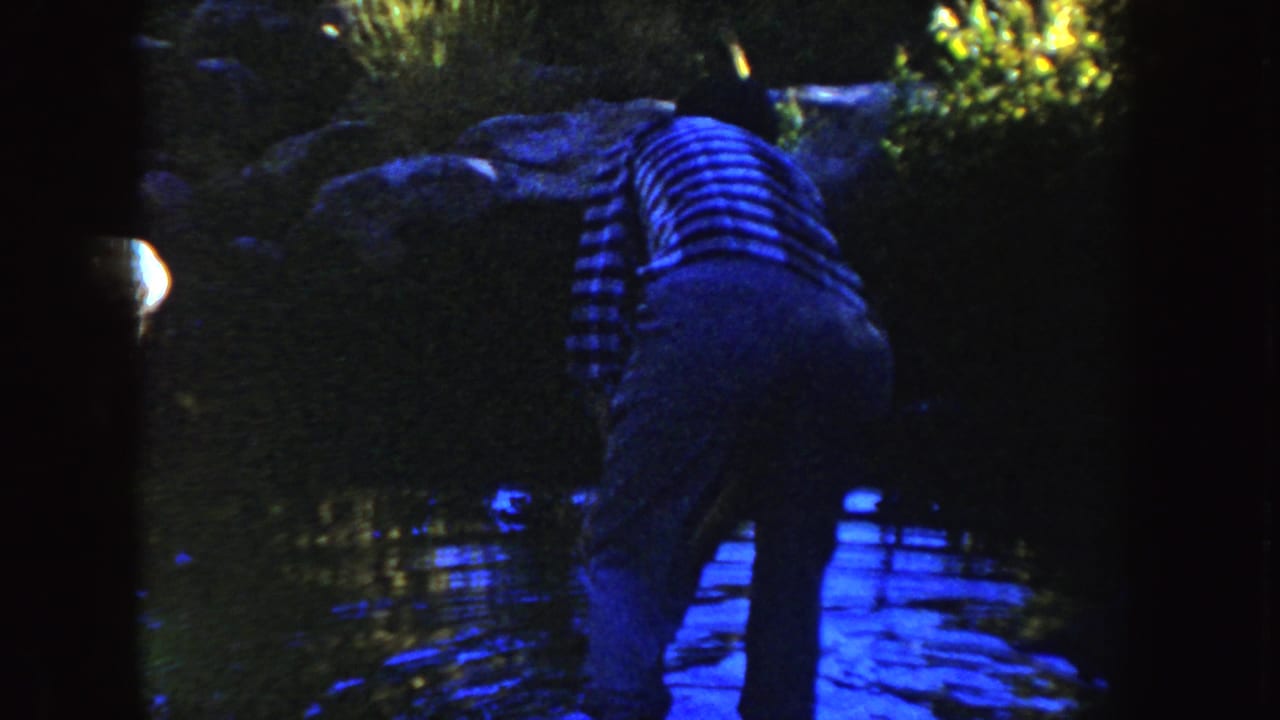 A woman in a striped shirt and dark pants bends over a shallow South Dakota stream, with rocks and foliage around her.