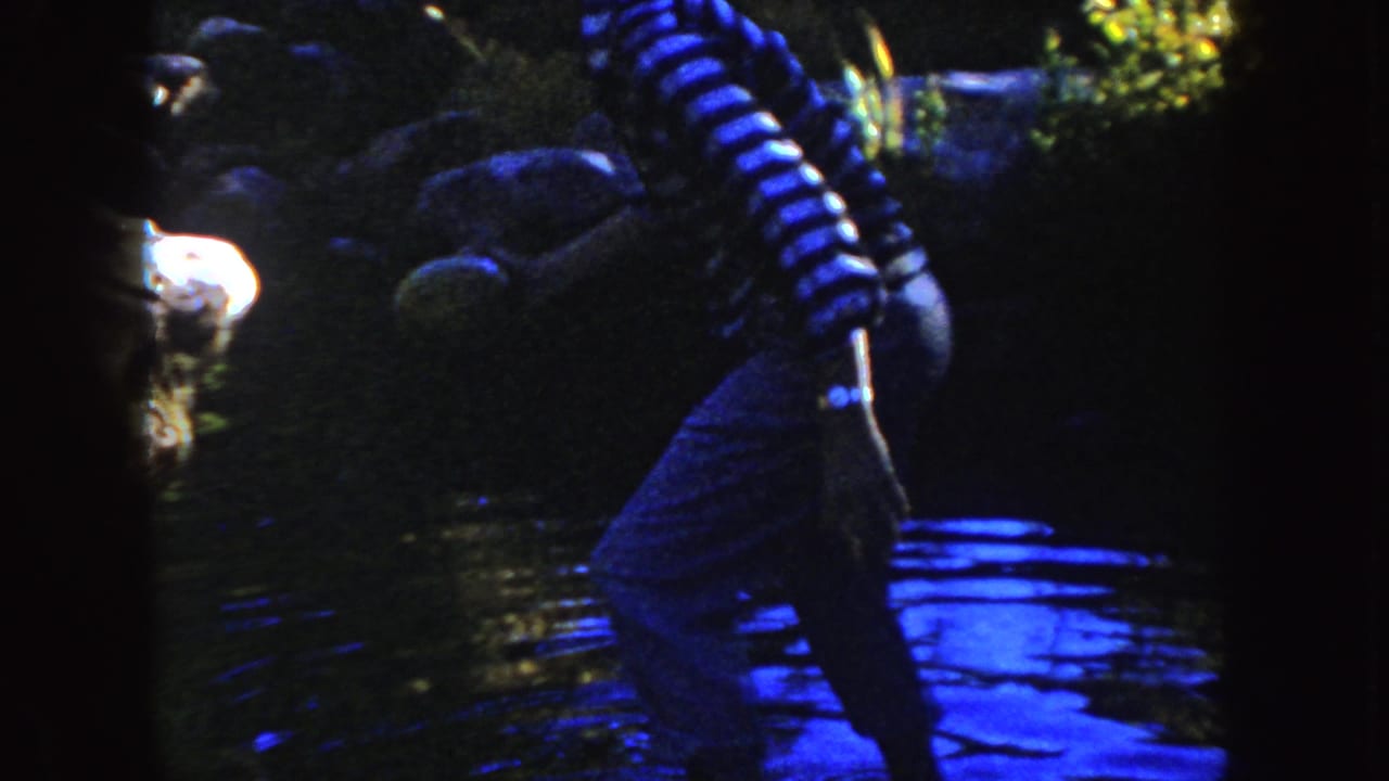 Near the end of the clip, the woman shifts at the stream edge, framed by dark rocks, foliage, and blue-purple film color.