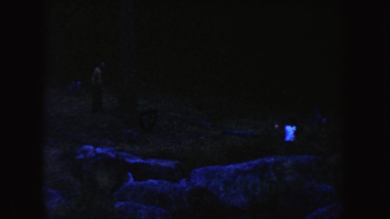 Dark blue-purple frame with rocks, grass, and faint figures outdoors at dusk.