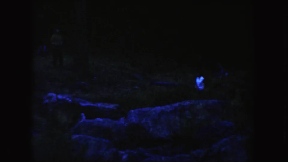 Blue-purple 8mm frame from South Dakota in 1954, showing rocks, dark ground, and a light-shirted figure in the distance.