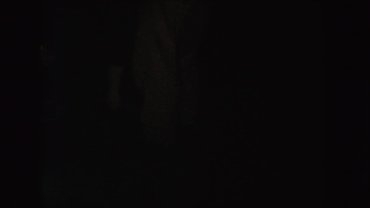 A 1954 South Dakota home-movie frame with an amber strip of light and indistinct dark forms in the surrounding shadows.