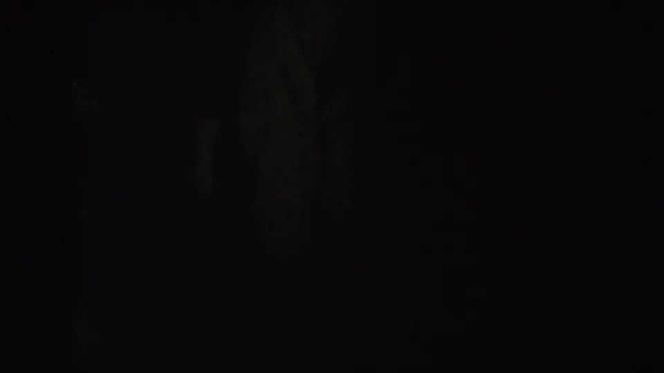A 1954 South Dakota home-movie frame with an amber strip of light and indistinct dark forms in the surrounding shadows.