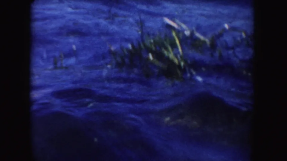 1954 8mm South Dakota lake footage showing dark blue water with reeds or aquatic plants near the surface.