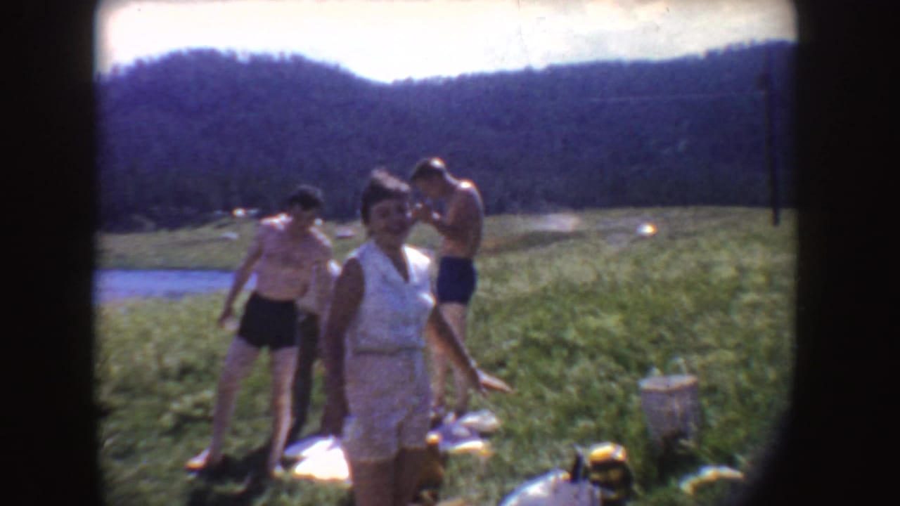 Woman and two boys standing with picnic items on a grassy lakeshore.
