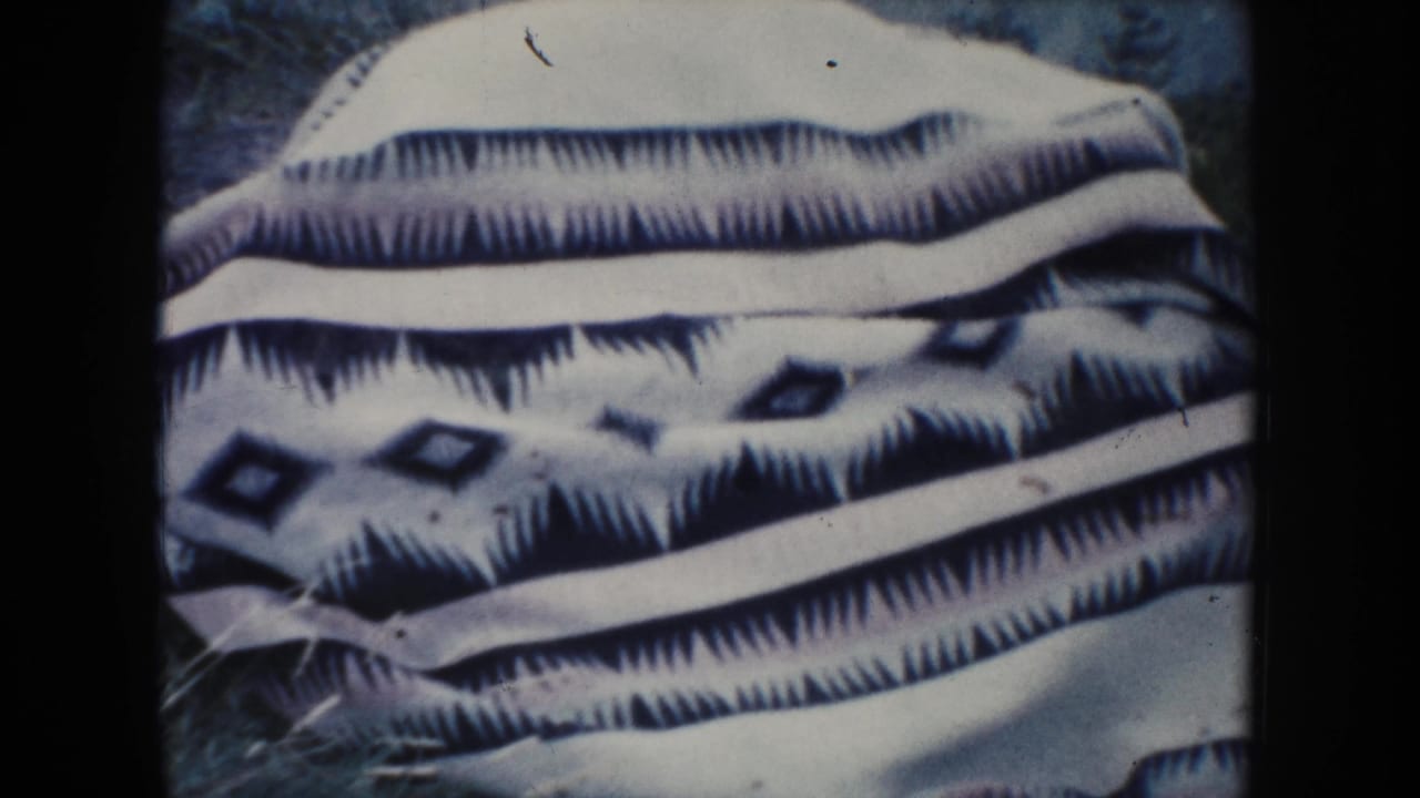 Patterned blanket spread across grass, partly filling the frame.