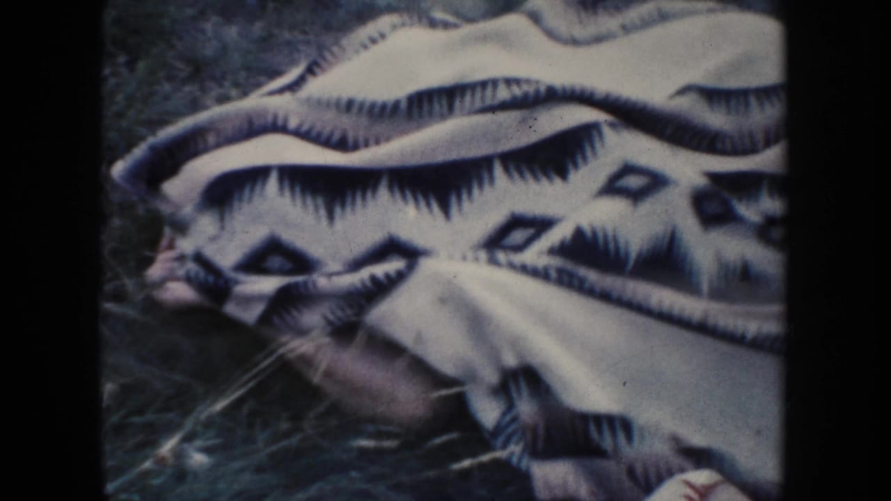 The patterned blanket remains on the grass, with part of a person visible near the edge in the South Dakota yard scene.