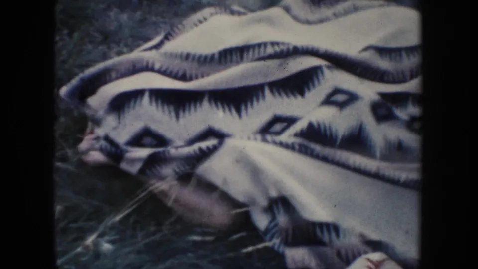 The patterned blanket remains on the grass, with part of a person visible near the edge in the South Dakota yard scene.