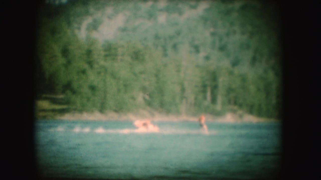 Distant swimmers or figures in blue-green water beside a wooded shoreline.