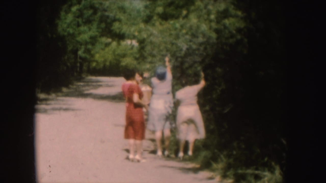 Women on a South Dakota path pause or walk as two reach toward overhanging foliage in a 1954 home-movie frame.