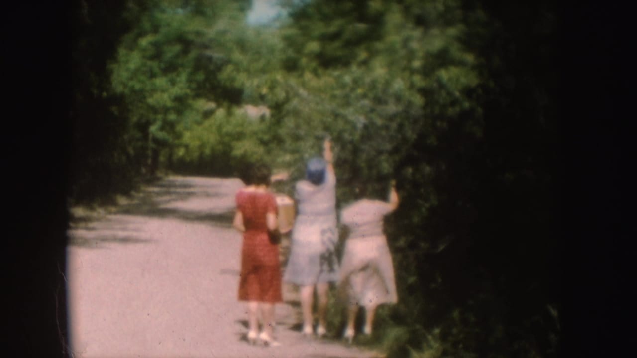 A soft 1954 South Dakota 8mm frame shows three women walking away under trees on a pale dirt path.