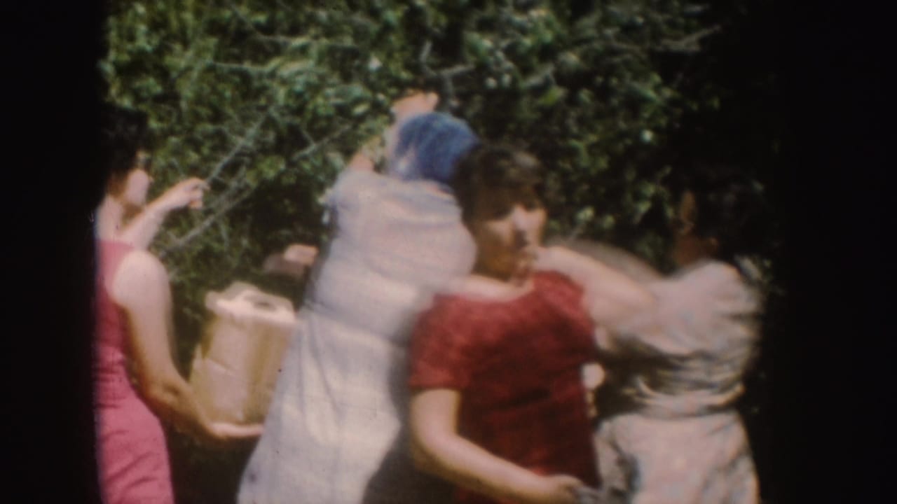 Four women in 1950s-style dresses appear to pick from a tall bush in South Dakota, with a paper bag held open nearby.