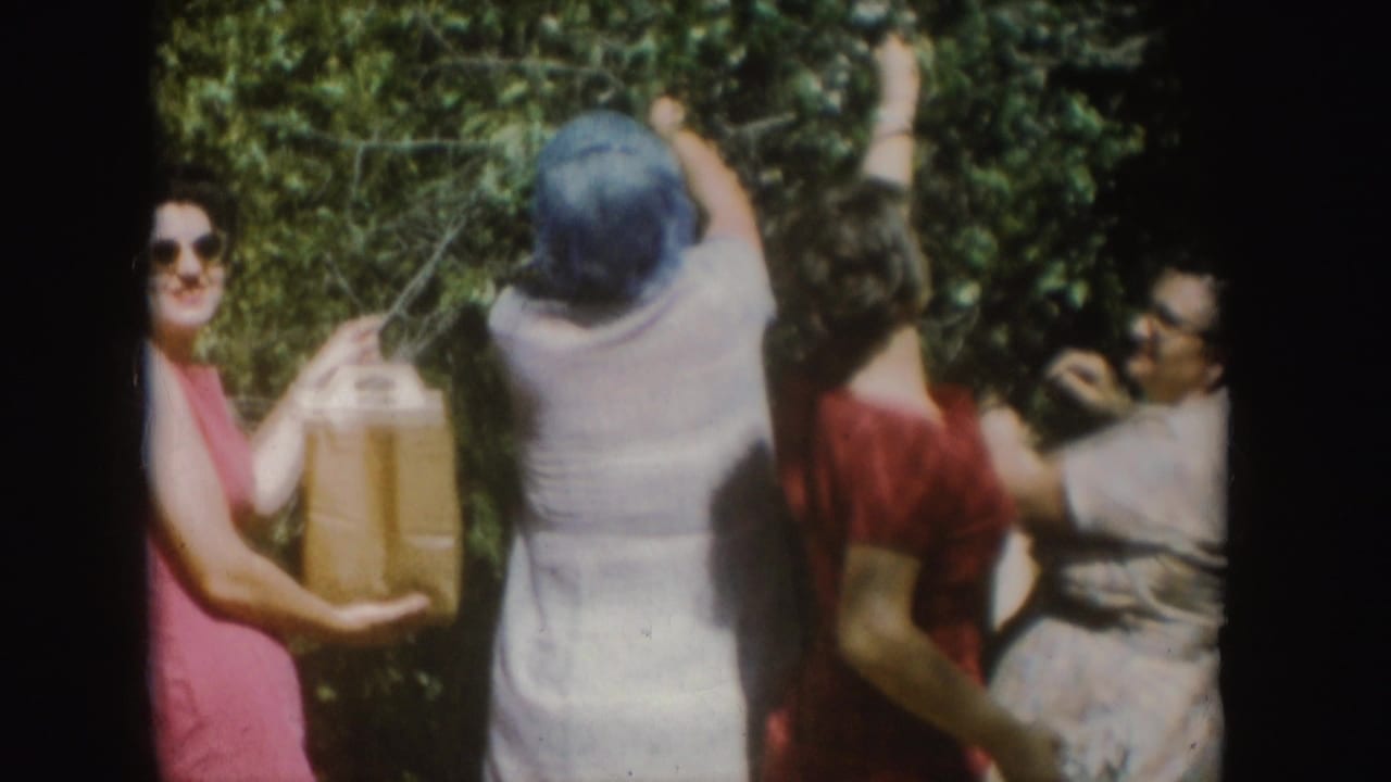 A woman in sunglasses holds a handled paper bag as the group continues gathering from a tall bush in supported 1954 South Dakota footage.