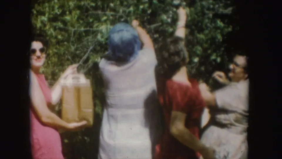 A woman in sunglasses holds a handled paper bag as the group continues gathering from a tall bush in supported 1954 South Dakota footage.