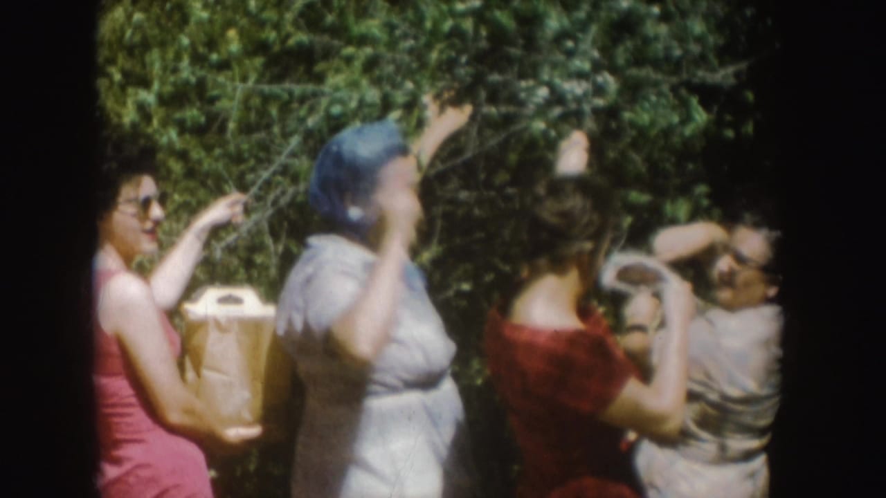 Women in summer dresses and headscarves appear to pick fruit from a tree in South Dakota 1954 home-movie footage.