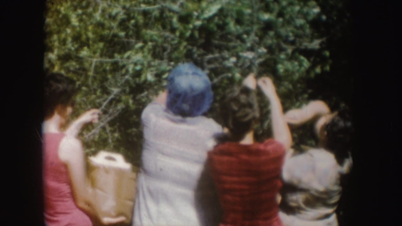 The camera looks over women in summer clothing as they reach into a leafy tree during a 1954 South Dakota outdoor home-movie scene.