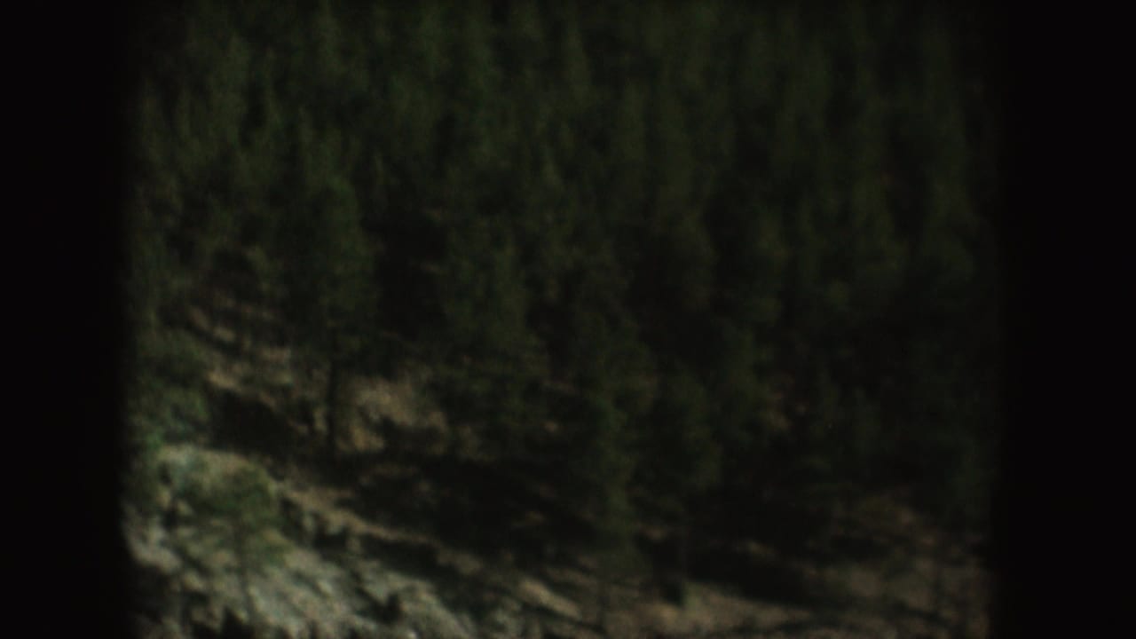 Dark wooded hillside with rocky shoreline areas and black film border.