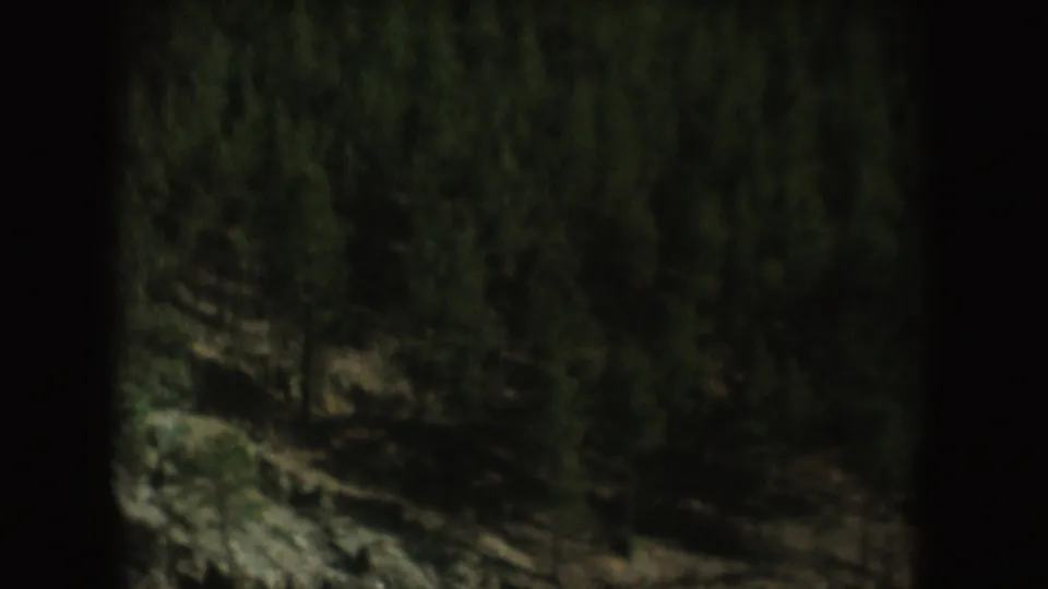 A wooded South Dakota park slope appears in soft 8mm color, with rocky ground and heavy scan borders around the frame.