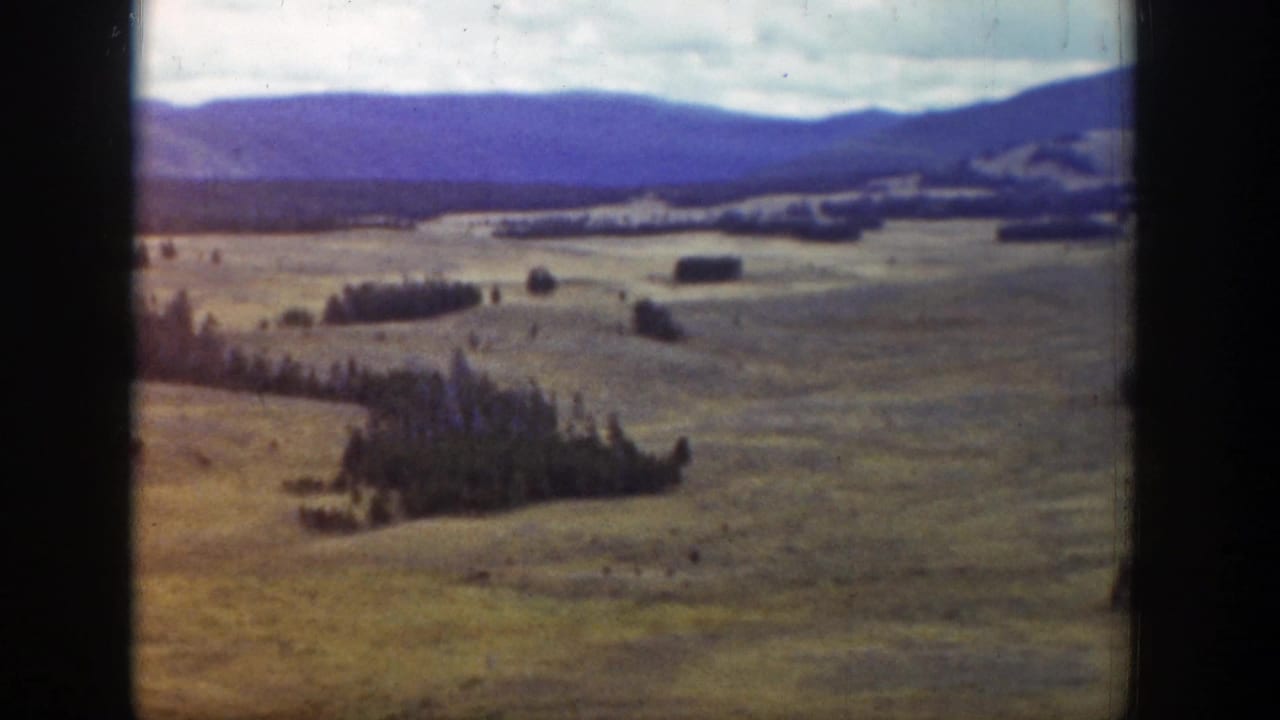 1939 Wyoming landscape frame with broad grassland, scattered evergreen stands, and mountains along the horizon.