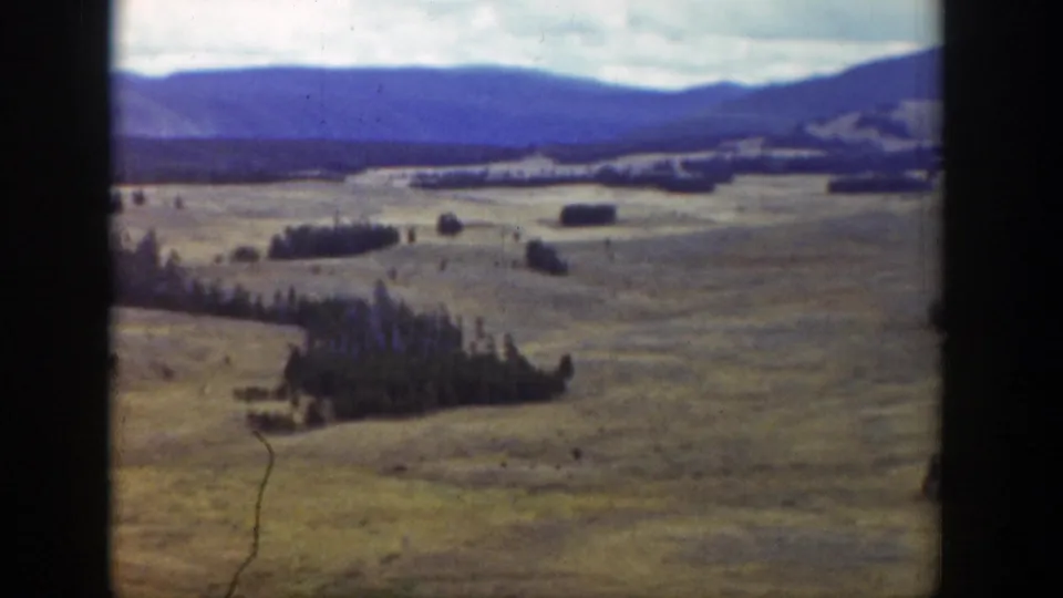 1939 Wyoming home-movie frame showing a quiet open field, dark evergreens, and distant mountains with visible film wear.