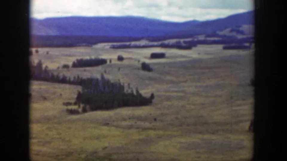 1939 Wyoming 8mm still with rolling yellow-green land, clustered trees, and a blue mountain horizon.