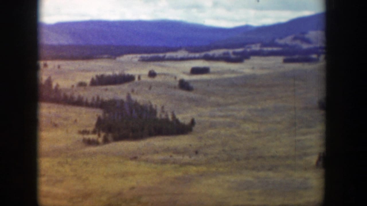 Rolling yellow grass hills with conifer clusters and distant mountains seen through dark vertical window framing.