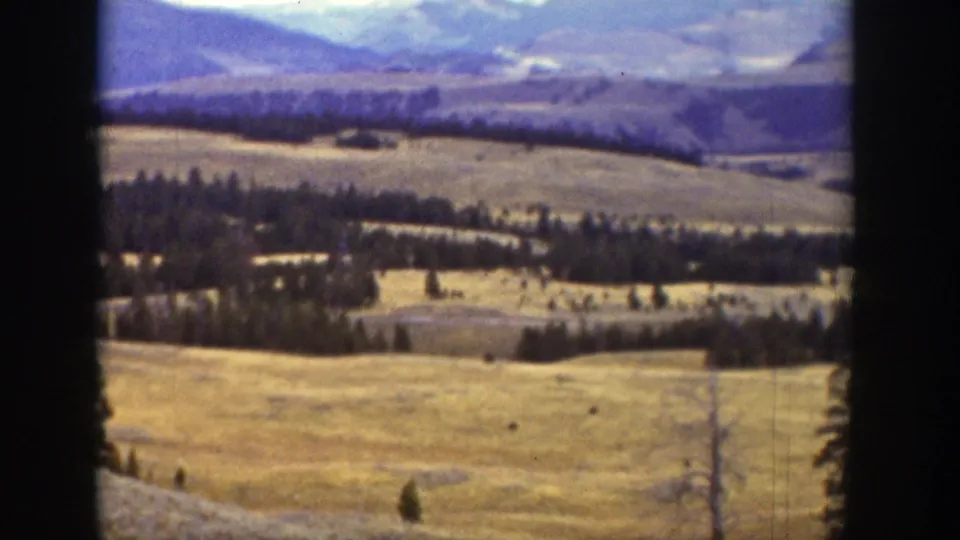 1939 Wyoming 8mm frame of golden grassland, conifer patches, a bare foreground tree, and muted mountain ridges.