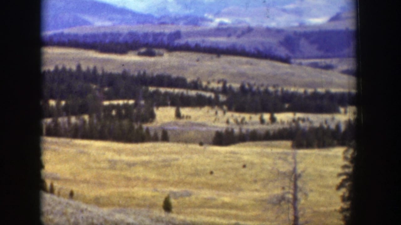 Rolling hills with scattered evergreens under a cloudy sky.