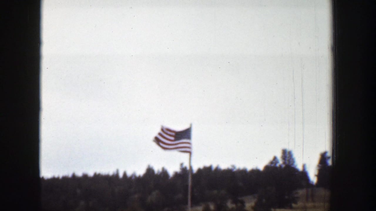 American flag waving above a dark treeline, framed by vertical dark edges.